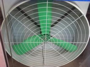 ����ؓ���L�C